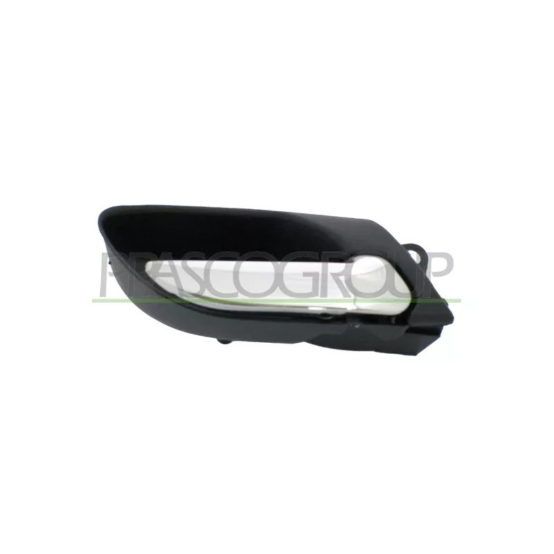 Poignet de porte, équipment intérieur avant droit PRASCO BM0188401
