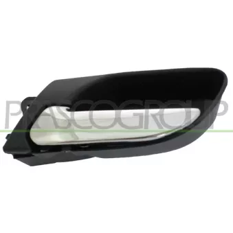 Poignet de porte, équipment intérieur arrière gauche PRASCO BM0188502