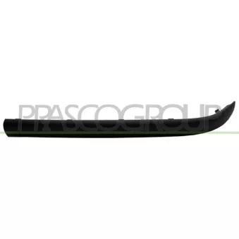Baguette et bande protectrice, pare-chocs avant gauche PRASCO BM0201244
