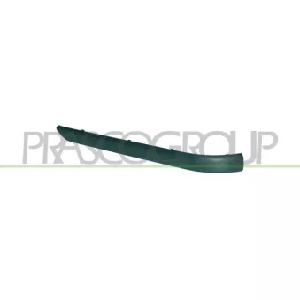Baguette et bande protectrice, pare-chocs arrière gauche PRASCO BM0201254
