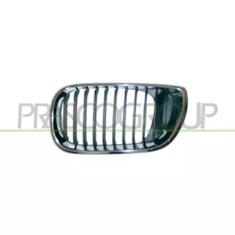 Grille de radiateur avant gauche PRASCO BM0202004