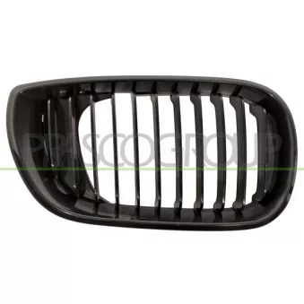 Grille de radiateur PRASCO