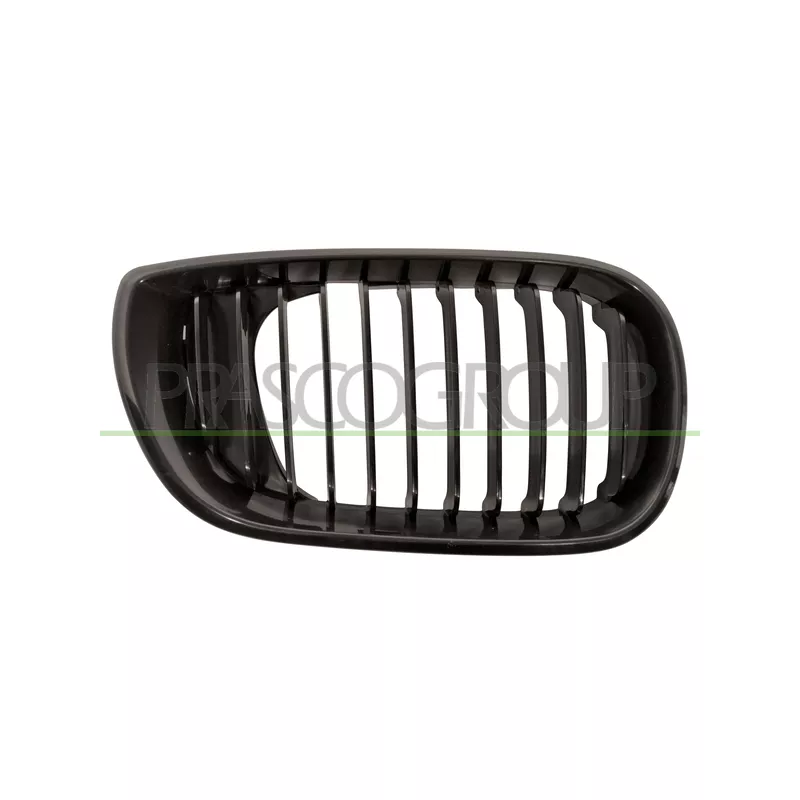 Grille de radiateur PRASCO BM0202023