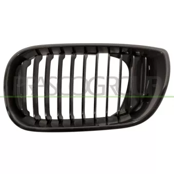 Grille de radiateur PRASCO BM0202024