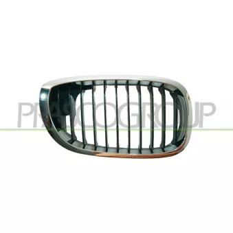 Grille de radiateur avant droit PRASCO BM0212003