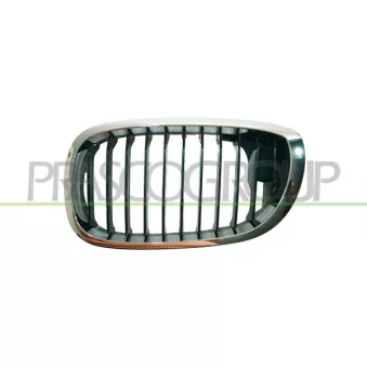 Grille de radiateur avant gauche PRASCO BM0212004