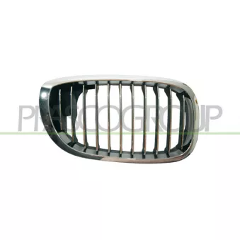 Grille de radiateur avant droit PRASCO BM0212013