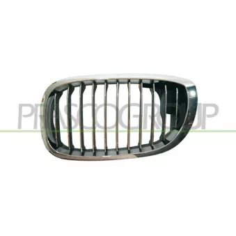 Grille de radiateur avant gauche PRASCO BM0212014