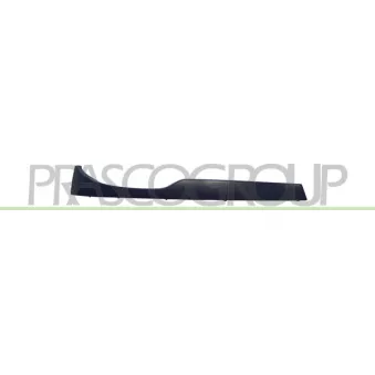 Enjoliveur, projecteur principal PRASCO BM0222103