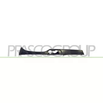 Enjoliveur, projecteur principal PRASCO BM0222113