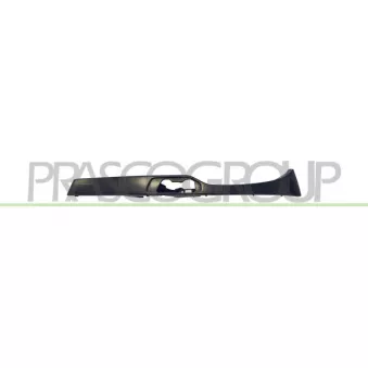 Enjoliveur, projecteur principal PRASCO BM0222114
