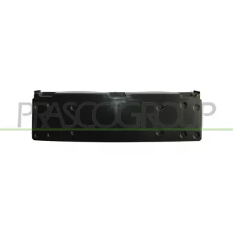 Support de plaque d'immatriculation PRASCO BM0241539