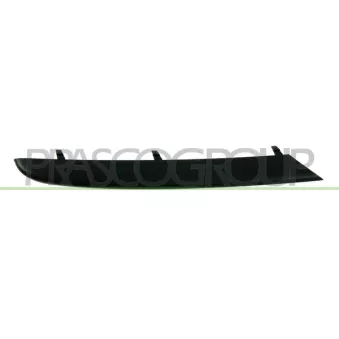 Baguette et bande protectrice, grille de radiateur avant droit PRASCO BM0242227