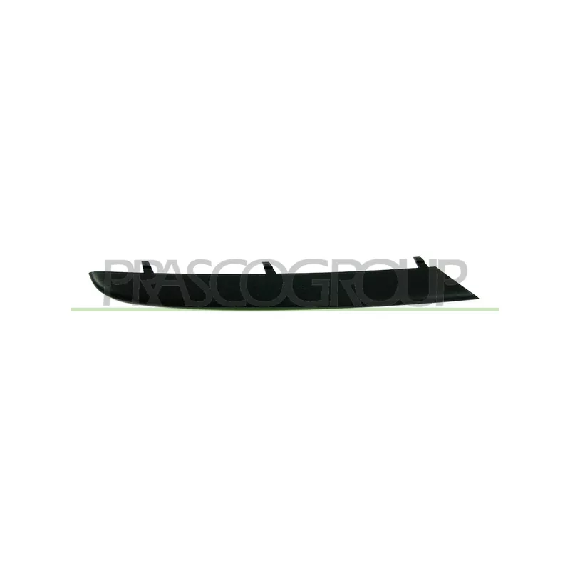 Baguette et bande protectrice, grille de radiateur avant droit PRASCO BM0242227