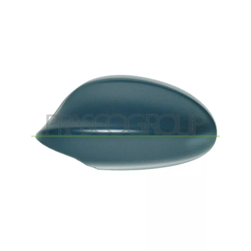 Revêtement, rétroviseur extérieur PRASCO BM0247414