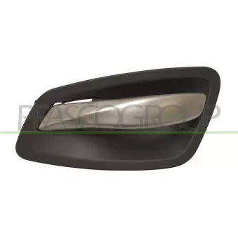Poignet de porte, équipment intérieur avant droit PRASCO BM0248401