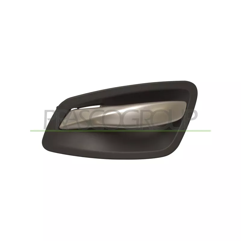 Poignet de porte, équipment intérieur avant droit PRASCO BM0248401
