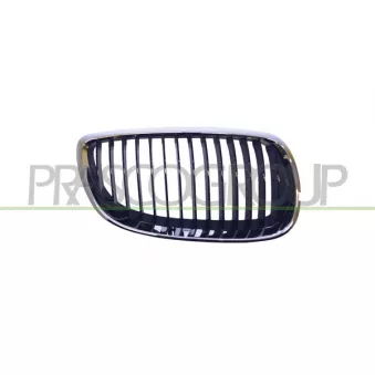 Grille de radiateur PRASCO