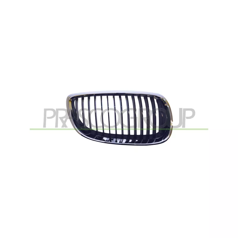 Grille de radiateur PRASCO BM0252003