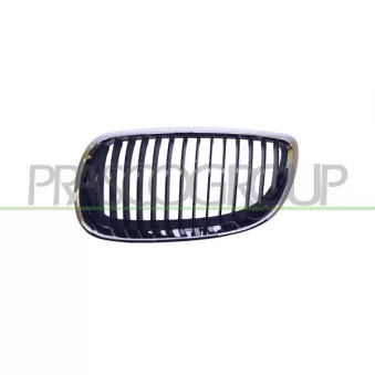 Grille de radiateur PRASCO BM0252004
