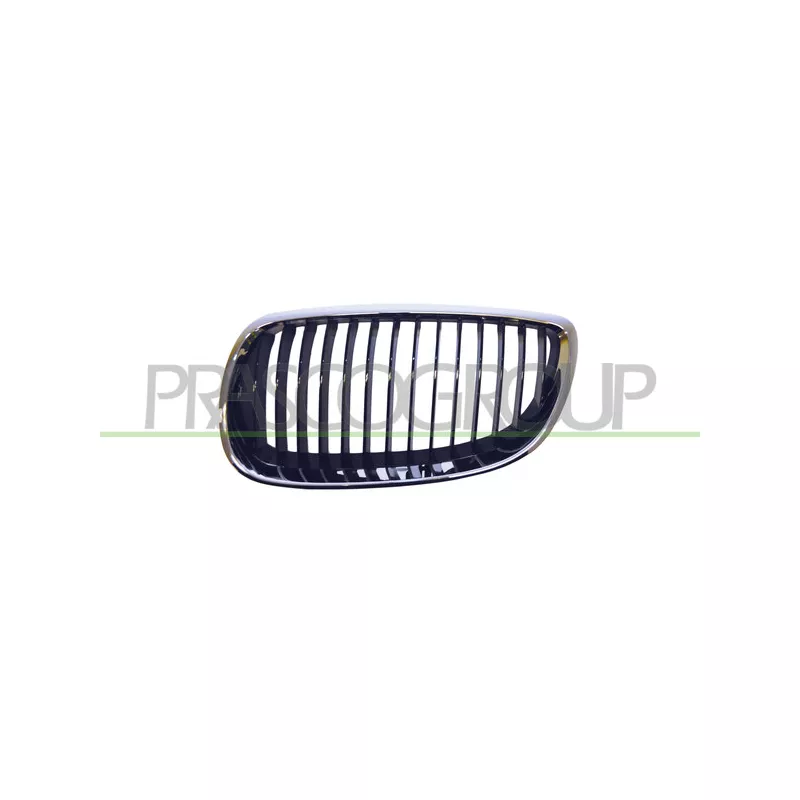 Grille de radiateur PRASCO BM0252004