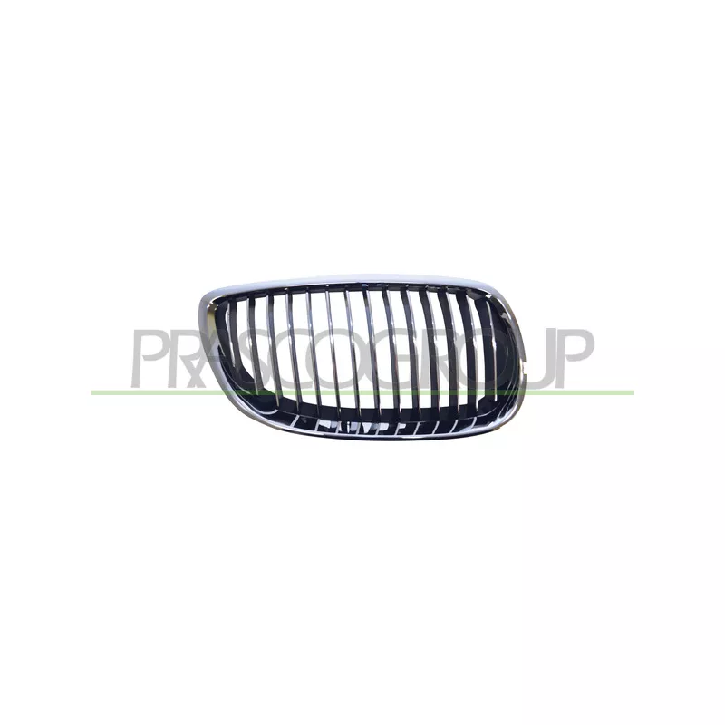 Grille de radiateur PRASCO BM0252013