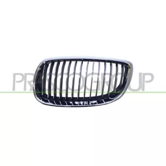 Grille de radiateur PRASCO BM0252014