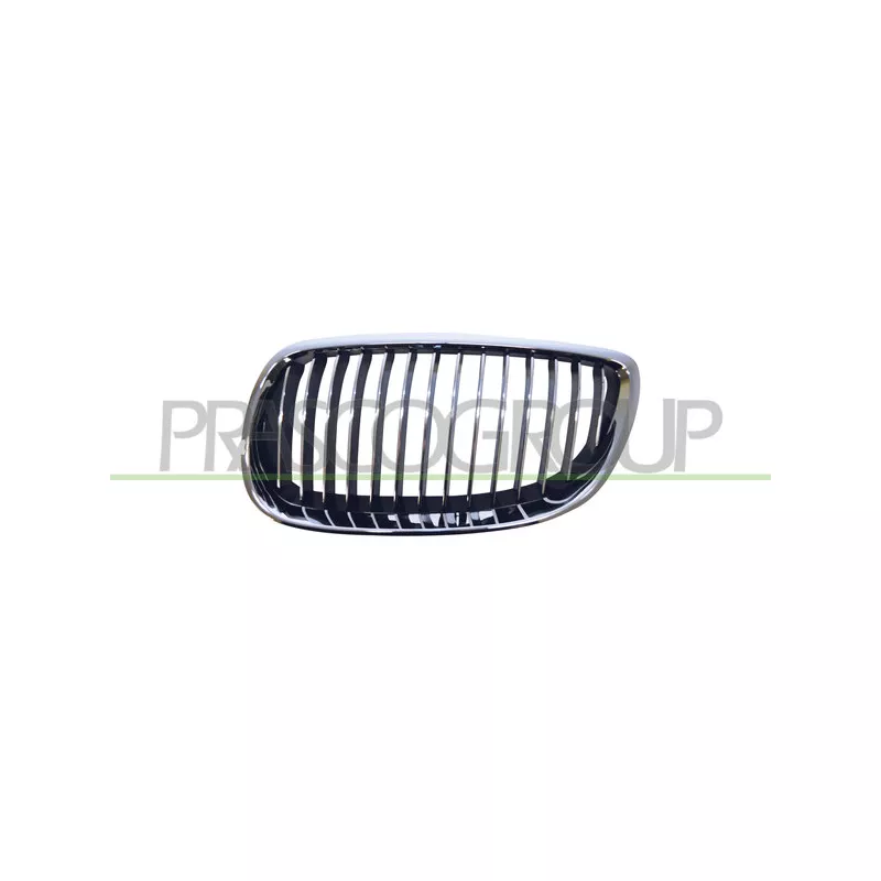 Grille de radiateur PRASCO BM0252014