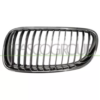 Grille de radiateur avant gauche PRASCO BM0252034