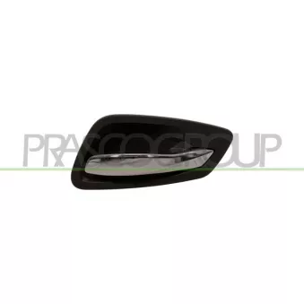 Poignet de porte, équipment intérieur avant droit PRASCO BM0258401