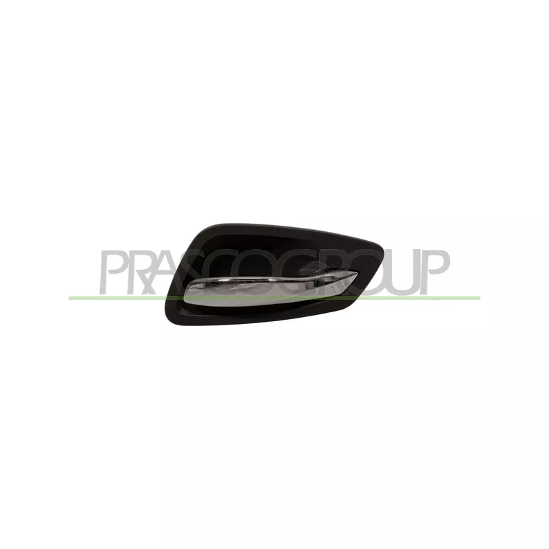 Poignet de porte, équipment intérieur avant droit PRASCO BM0258401