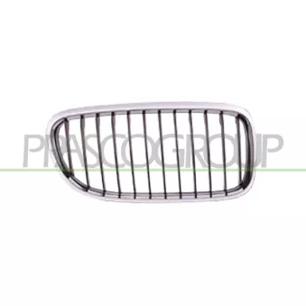 Grille de radiateur PRASCO BM0262003