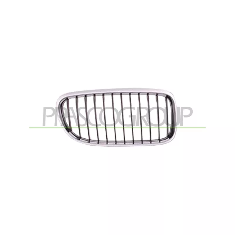 Grille de radiateur PRASCO BM0262003
