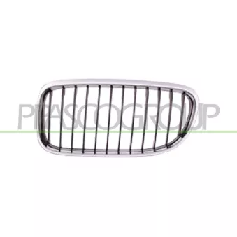 Grille de radiateur PRASCO BM0262004