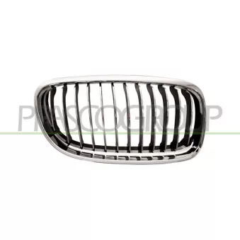 Grille de radiateur PRASCO BM0262013