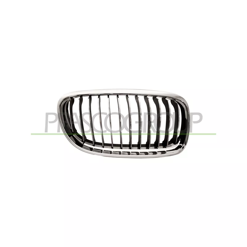 Grille de radiateur PRASCO BM0262013