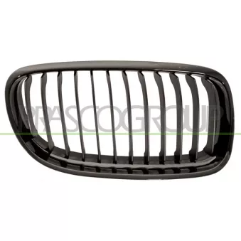 Grille de radiateur PRASCO BM0262023