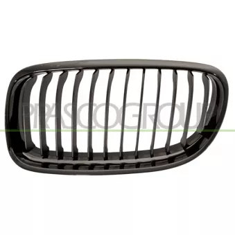 Grille de radiateur PRASCO BM0262024