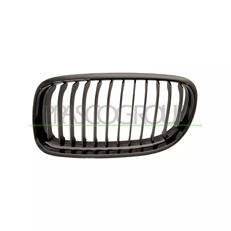 Grille de radiateur PRASCO BM0262024
