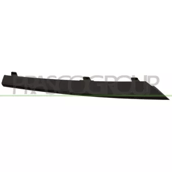 Baguette et bande protectrice, grille de radiateur PRASCO BM0262227