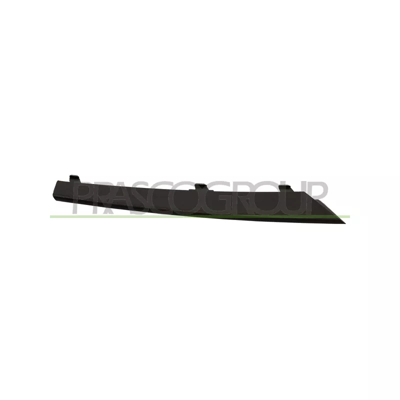 Baguette et bande protectrice, grille de radiateur PRASCO BM0262227