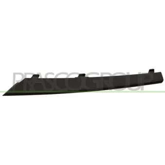 Baguette et bande protectrice, grille de radiateur PRASCO BM0262228