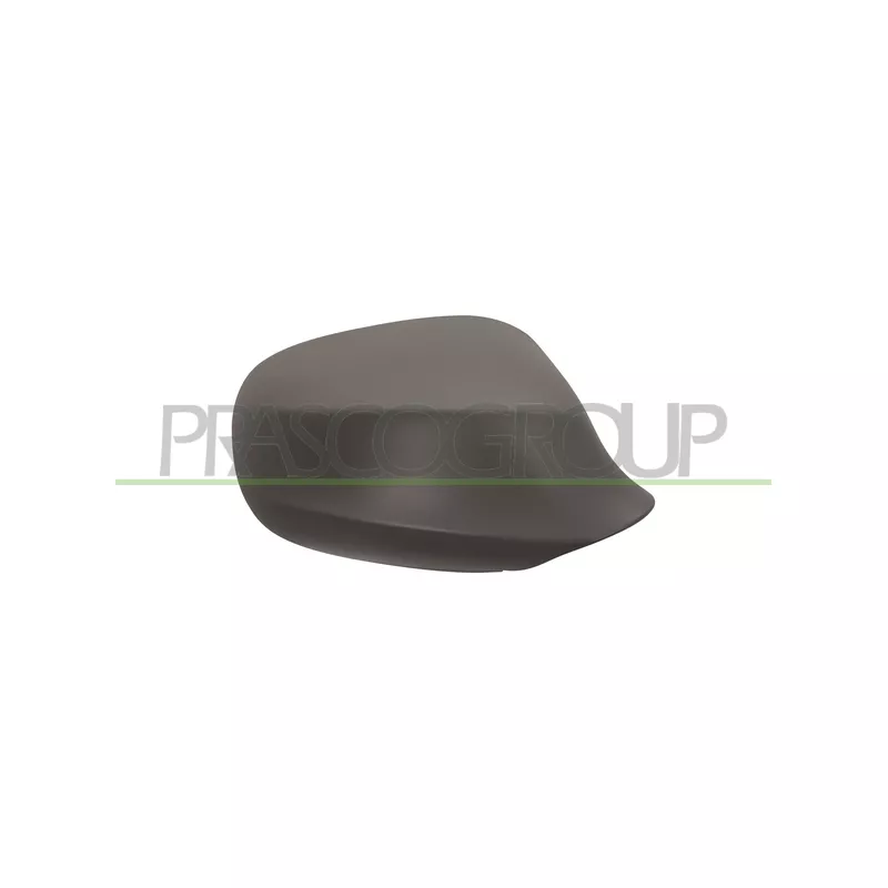 Revêtement, rétroviseur extérieur PRASCO BM0267413