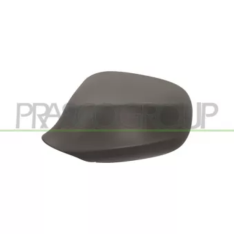 Revêtement, rétroviseur extérieur PRASCO BM0267414