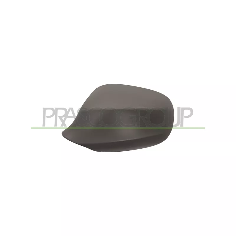 Revêtement, rétroviseur extérieur PRASCO BM0267414