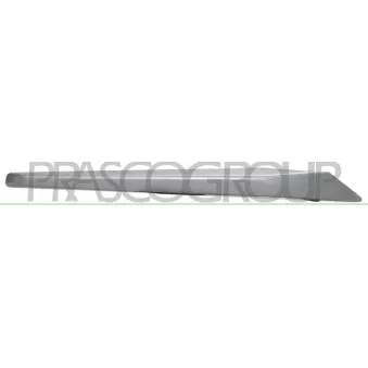 Baguette et bande protectrice, grille de radiateur PRASCO BM0281223