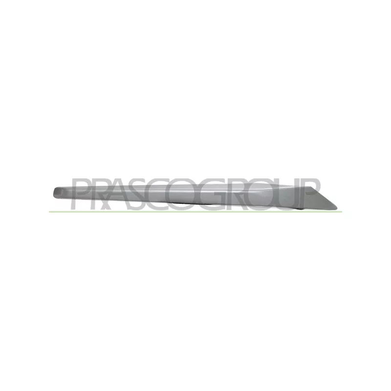 Baguette et bande protectrice, grille de radiateur PRASCO BM0281223