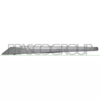 Baguette et bande protectrice, grille de radiateur PRASCO BM0281224