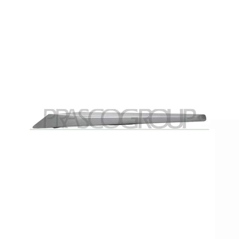 Baguette et bande protectrice, grille de radiateur PRASCO BM0281224