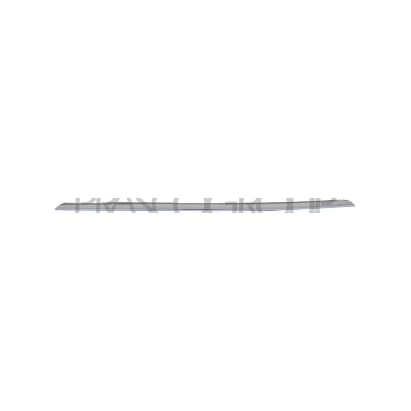 Baguette et bande protectrice, grille de radiateur PRASCO BM0281235